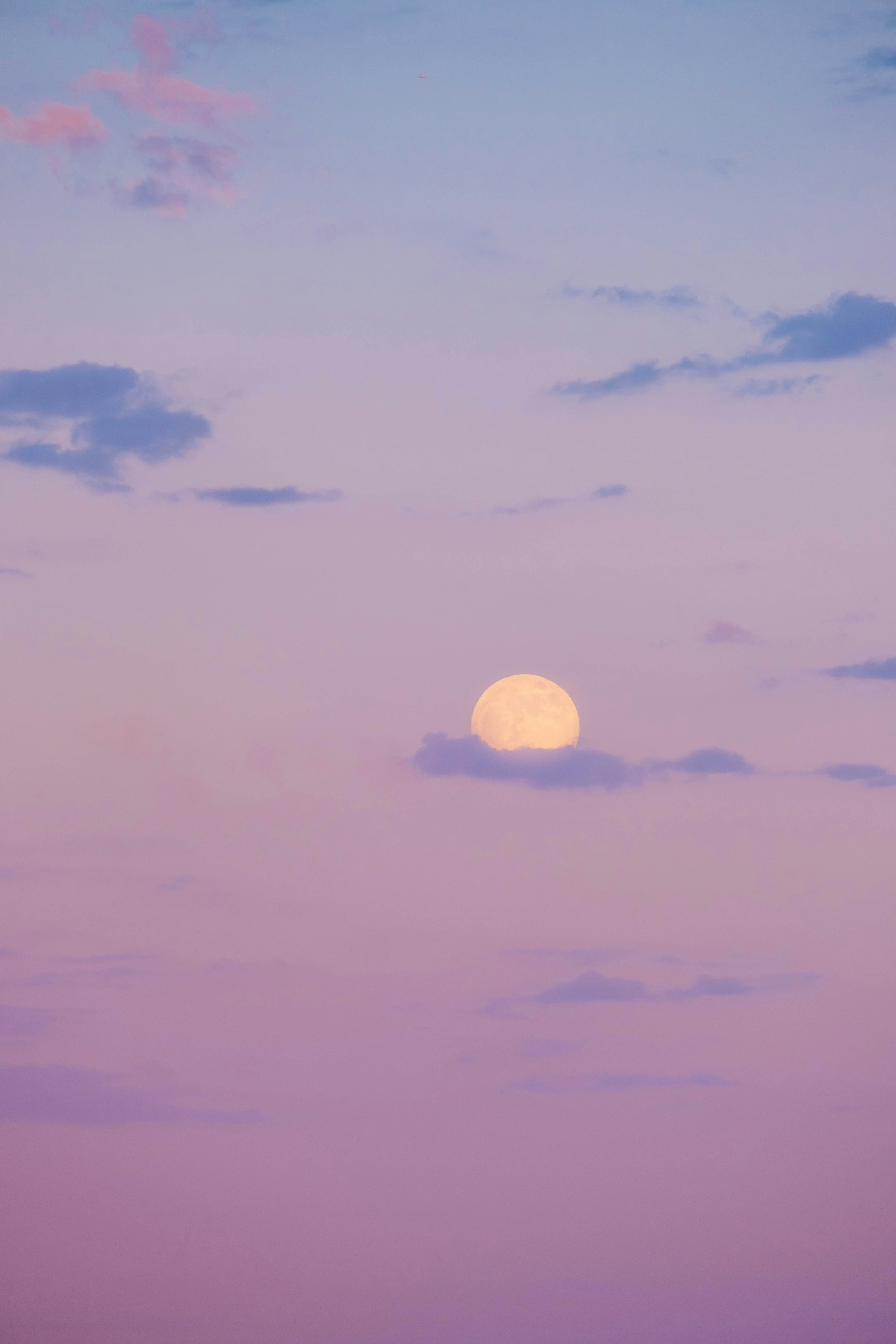 Promises in the moonlight: A poem